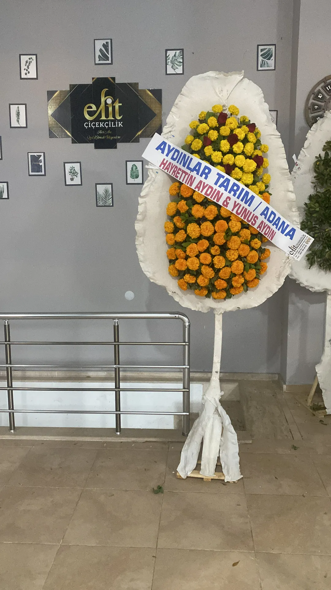 Cinyalı Duvak Model